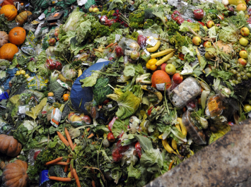 Gaspillage alimentaire