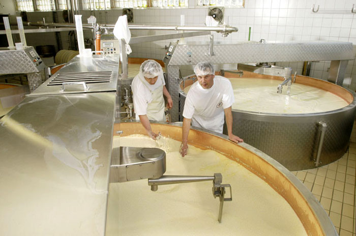 Avec un diamètre d’environ 85 centimètre et un poids de près de 100 kg, l'emmenthal est le plus gros et le plus lourd des fromages de Savoie. 