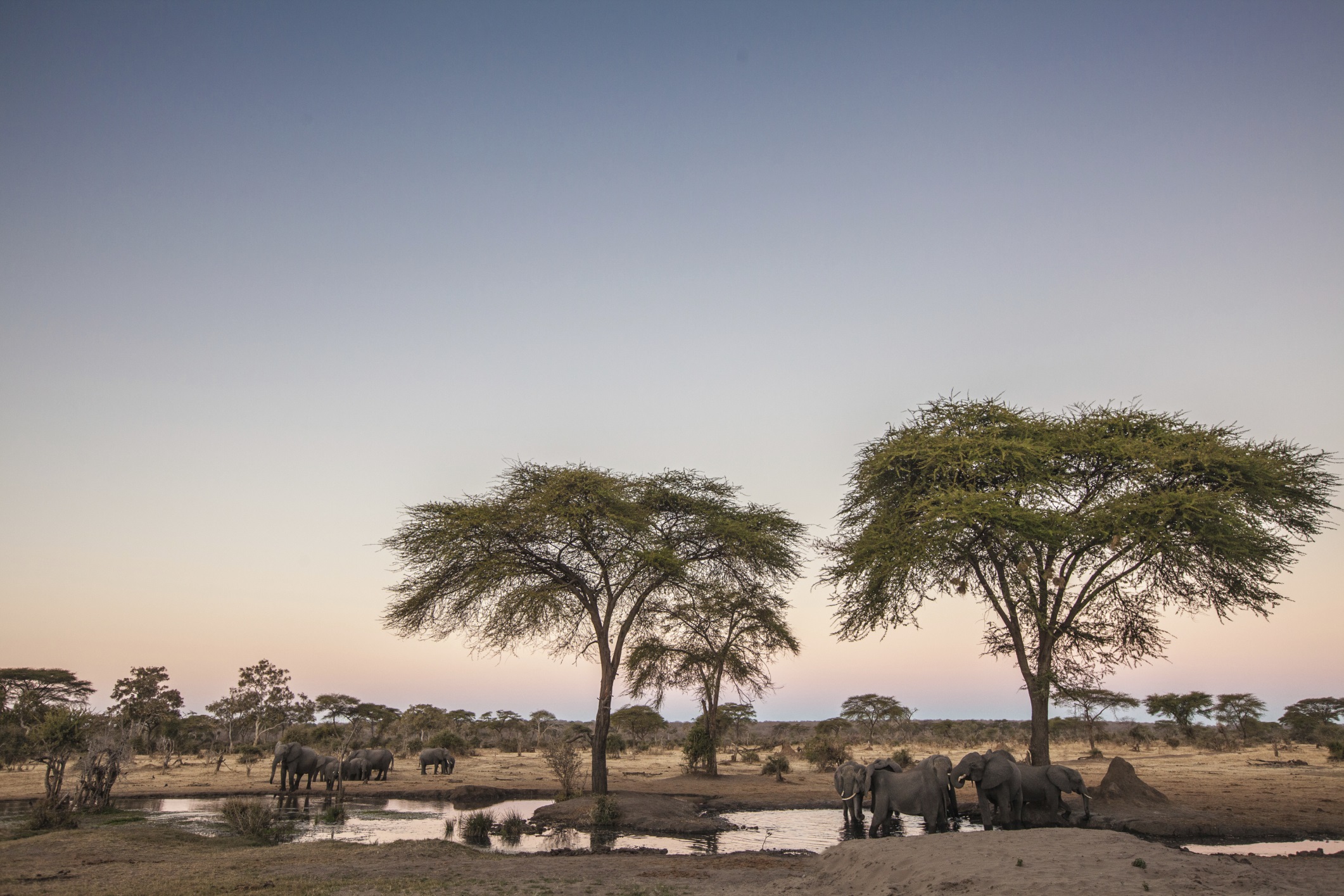 "Massai Mara est un endroit merveilleux..."