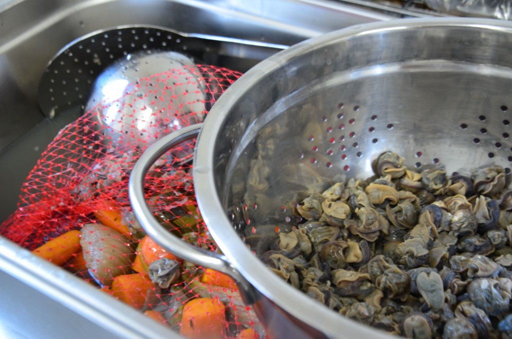 Bourgogne, à la bourguignonne…. 95% des escargots consommés en France viennent d’ailleurs. Ici, ils sont élevés et cuisinés par Frédéric.