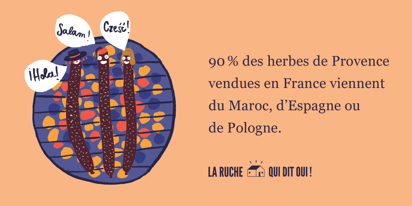 90% des herbes de Provence vendues en France proviennent du Maroc, d'Espagne ou de Pologne.