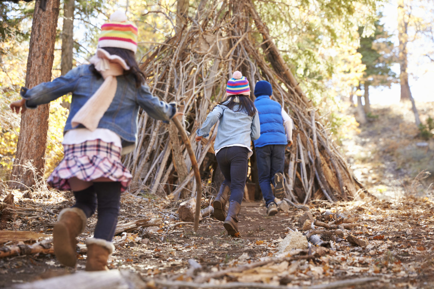 11 bonnes idées pour (re)connecter vos enfants à la nature - Oui ! Le ...