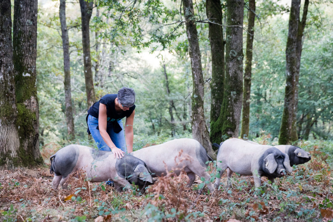 Sylvie Leizagoyen, éleveuse de porcs basques kintoas