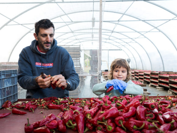 Didier Testemale, producteur de piments d’Espelette