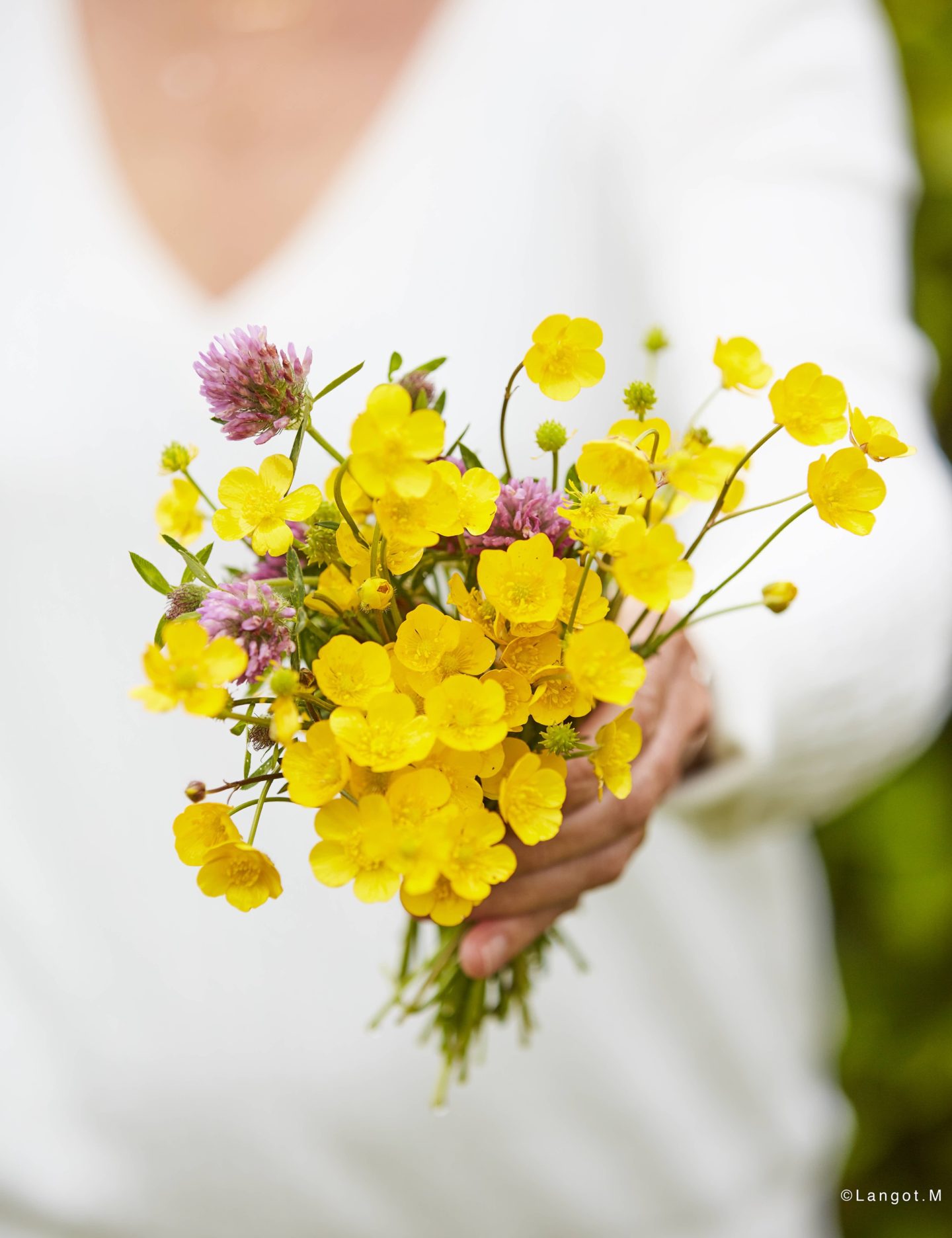 Diverse tipologie di fiori