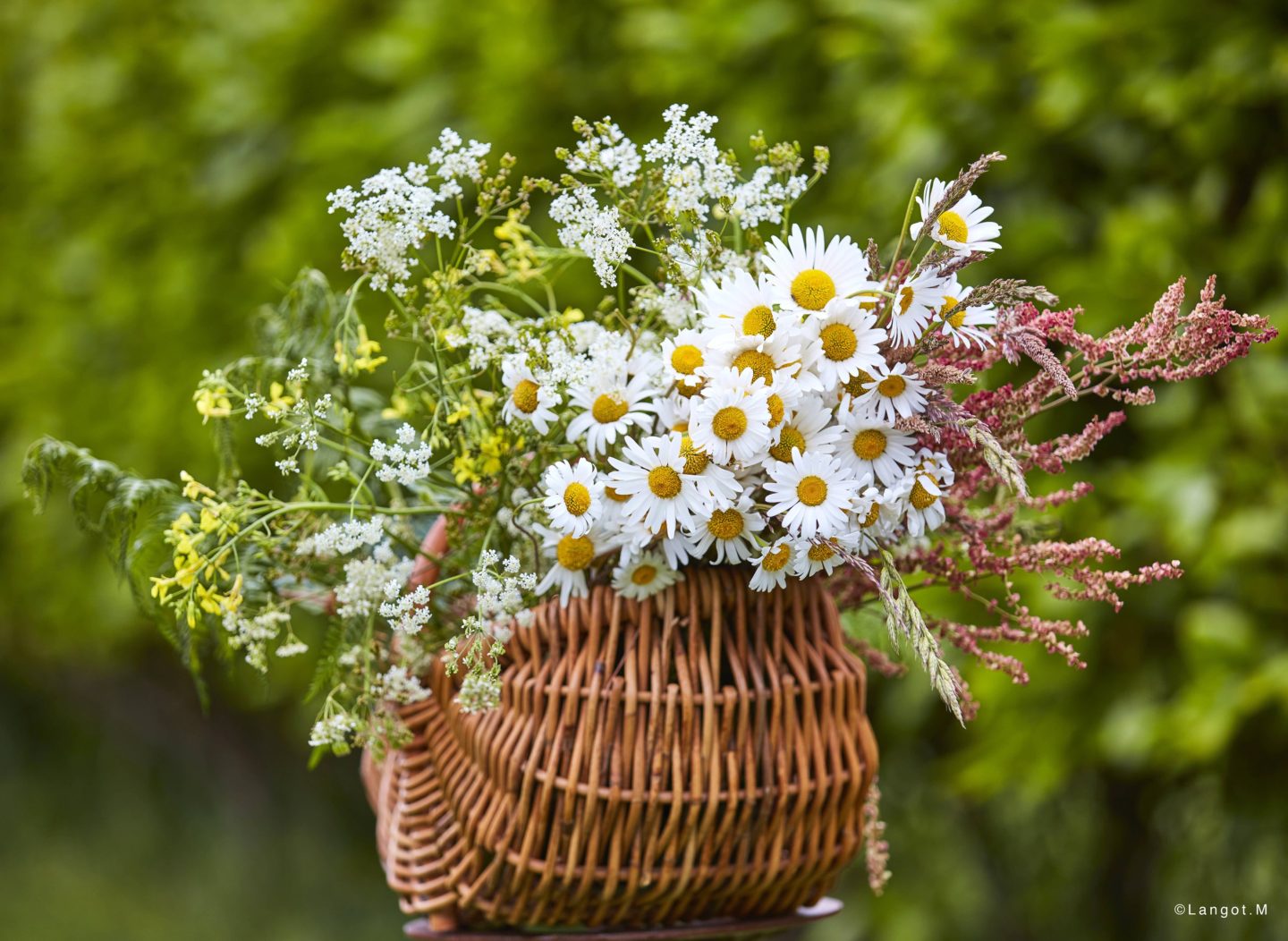 Fiori: ingrediente principale per la decorazione della casa