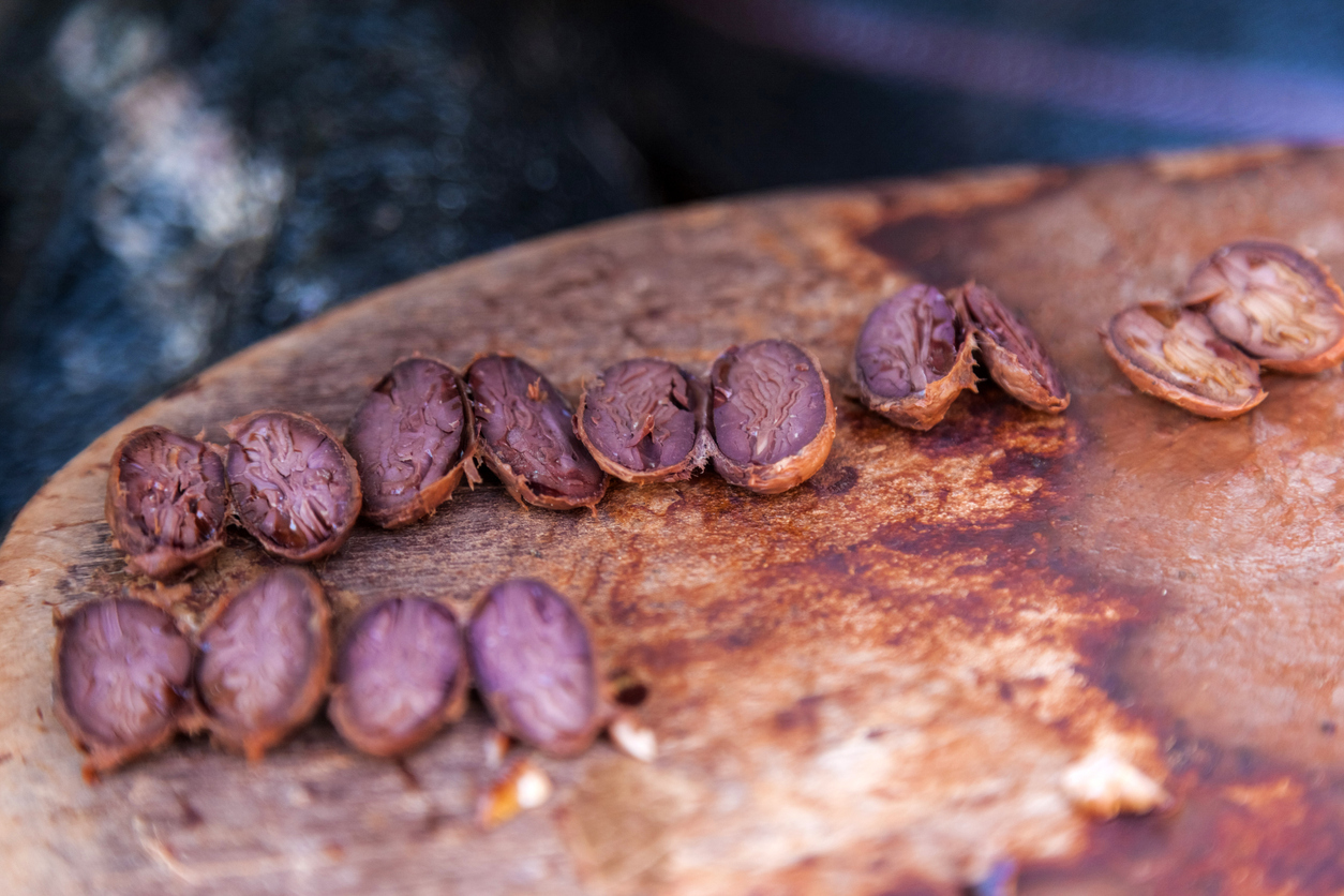 Semi di cacao prima dell'essicazione completa